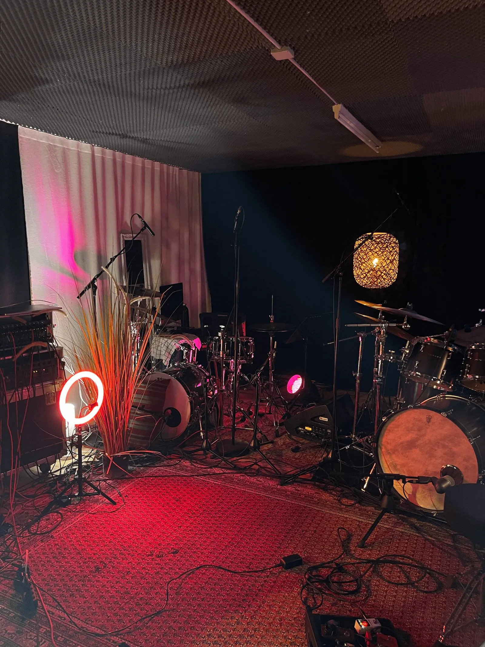 ENZO mit Band in Brig